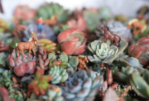 【新年のご挨拶】21年目のグリーンフォレストも、どうぞよろしくお願いします！